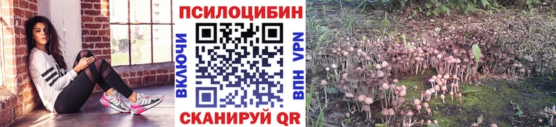 Галлюциногенные грибы Magic Shrooms Майский